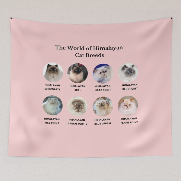 Item preview, The World of Himalayan Cat Breeds designed and sold by Myōhō Print Co..