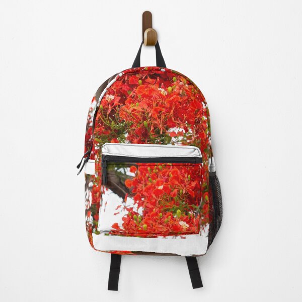 Item preview, royal poinciana, (Delonix regia), also called flamboyant tree or peacock tree designed and sold by rajeshbac.