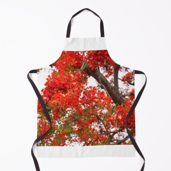 Item preview, royal poinciana, (Delonix regia), also called flamboyant tree or peacock tree designed and sold by rajeshbac.