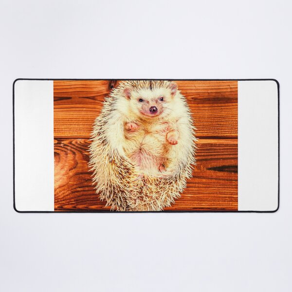 Item preview,  Hedgehog photo with high resolution quality designed and sold by Allyouneed-2.