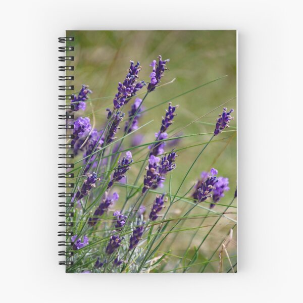 Item preview, Lavanda designed and sold by Joan van der Wereld.