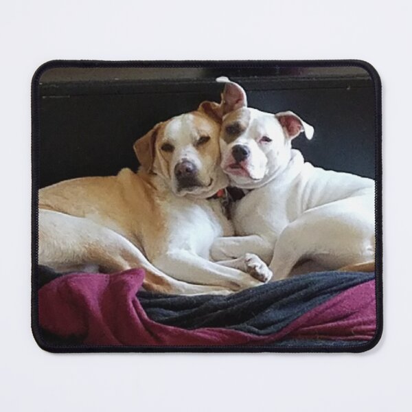 Item preview, Puppy Love (Photography) designed and sold by Lori Ackley.