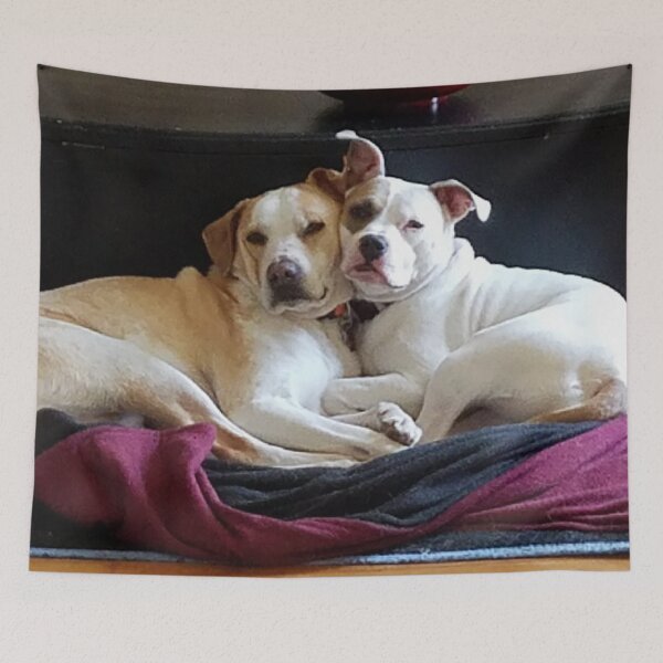 Item preview, Puppy Love (Photography) designed and sold by Lori Ackley.