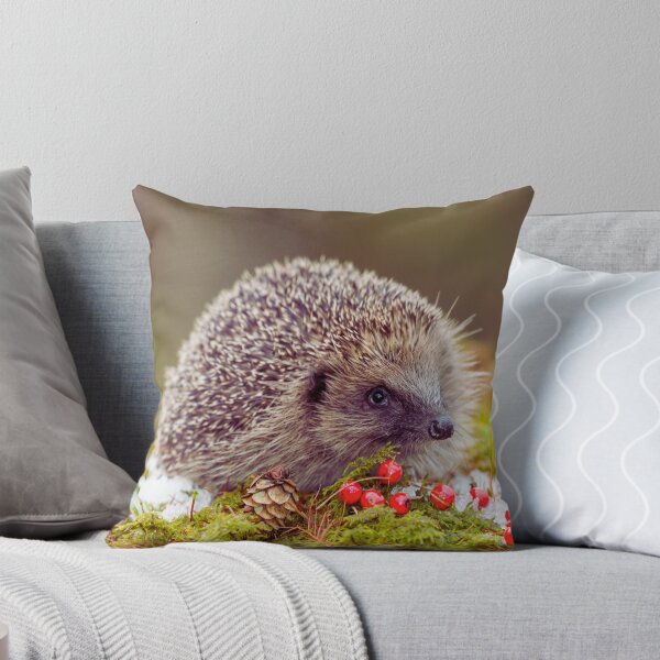 Item preview,  Hedgehog photo with high resolution quality designed and sold by Allyouneed-2.