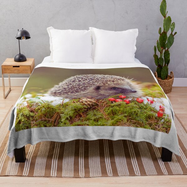 Item preview,  Hedgehog photo with high resolution quality designed and sold by Allyouneed-2.