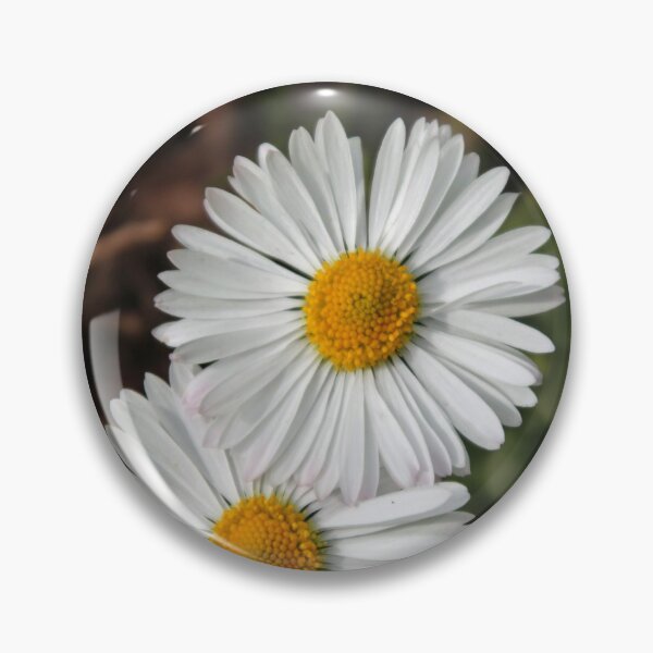 Aperçu de l'œuvre Marguerites Câlins créée et vendue par Joan van der Wereld.