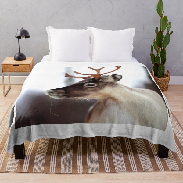 Item preview, reindeer photo with high resolution quality designed and sold by Allyouneed-2.