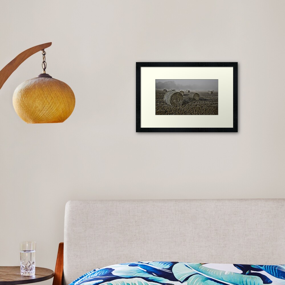 Misty Morning Framed Art Print