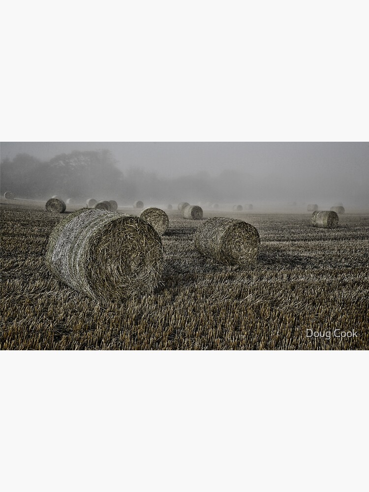 Misty Morning by DougCook