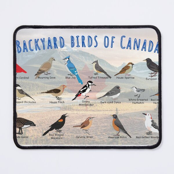 Item preview,  Backyard birds of Canada, mountain background.  designed and sold by AndyMcBird.