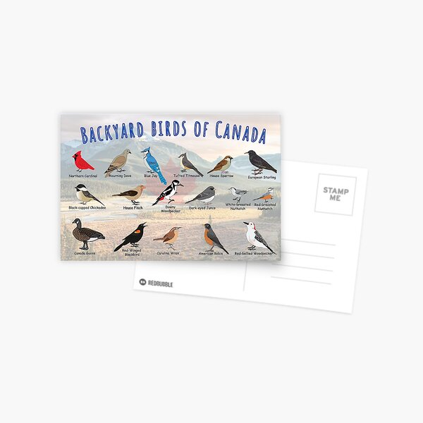 Item preview,  Backyard birds of Canada, mountain background.  designed and sold by AndyMcBird.