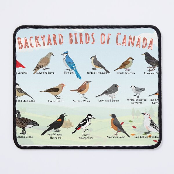 Item preview, Backyard birds of Canada in autumn.  designed and sold by AndyMcBird.