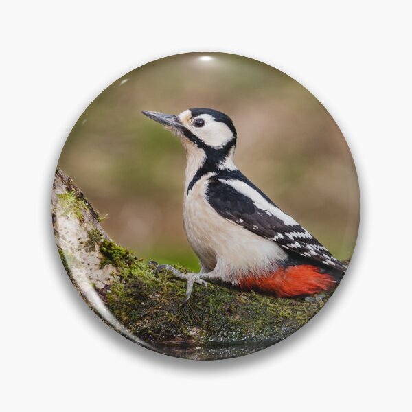 Item preview, Great spotted woodpecker designed and sold by Alec Stewart.