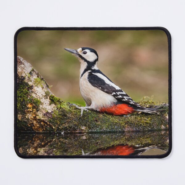 Item preview, Great spotted woodpecker designed and sold by Alec Stewart.