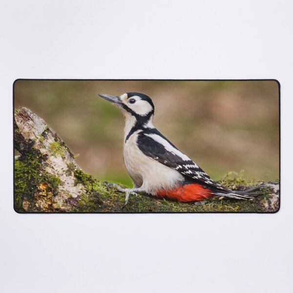 Item preview, Great spotted woodpecker designed and sold by Alec Stewart.