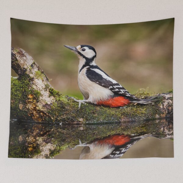 Item preview, Great spotted woodpecker designed and sold by Alec Stewart.