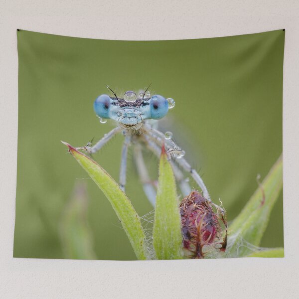 Item preview, Big Blue Eyes designed and sold by Alec Stewart.