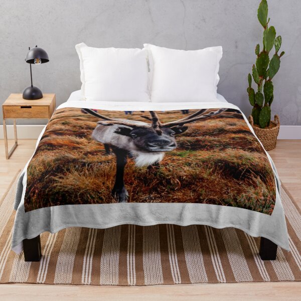 Item preview, reindeer photo with high resolution quality designed and sold by Allyouneed-2.
