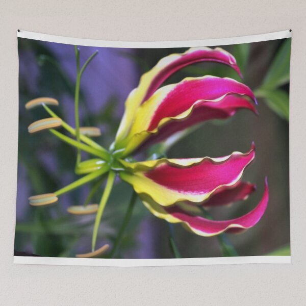 Item preview, Gloriosa lily designed and sold by B. Randi Bailey.