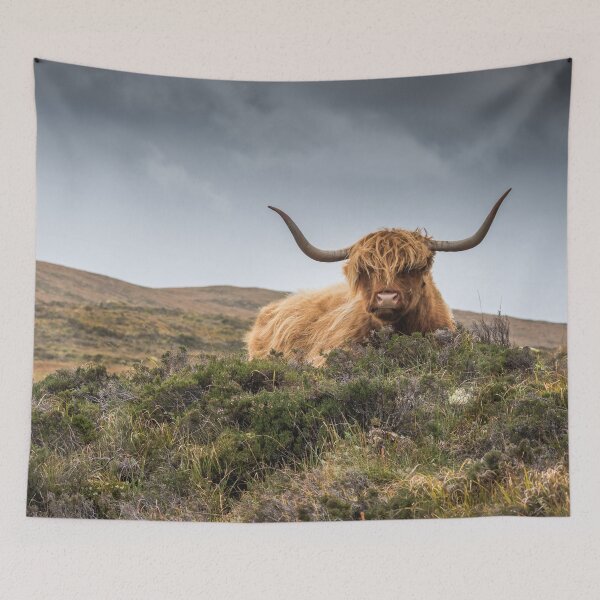 Item preview, Highland Cow designed and sold by Alec Stewart.