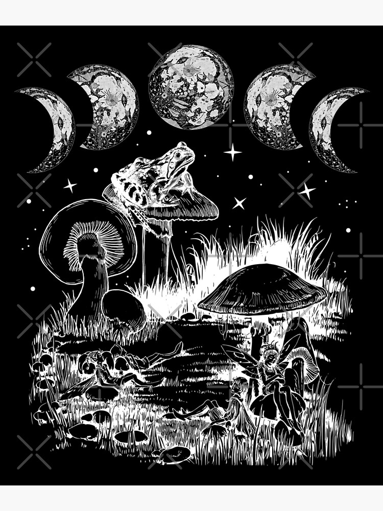 Cottagecore Aesthetic Frog Mushroom Witchy Moon Fairies Starry Night Poster By Evengodesign89