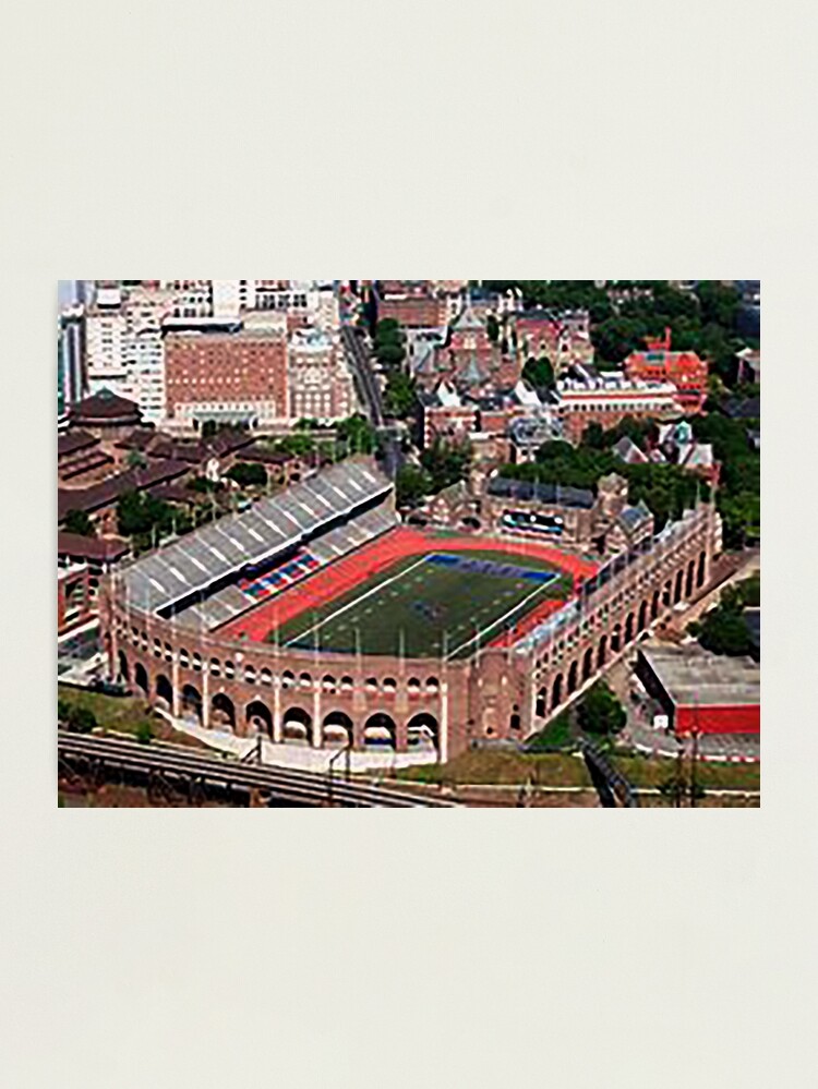 1955 Vintage Milwaukee County Stadium - Giant Photo Postcard