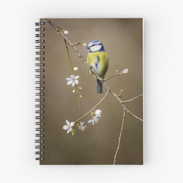 Item preview, Blue Tit on Blackthorn designed and sold by Alec Stewart.