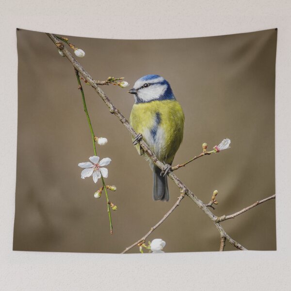 Item preview, Blue Tit on Blackthorn designed and sold by Alec Stewart.