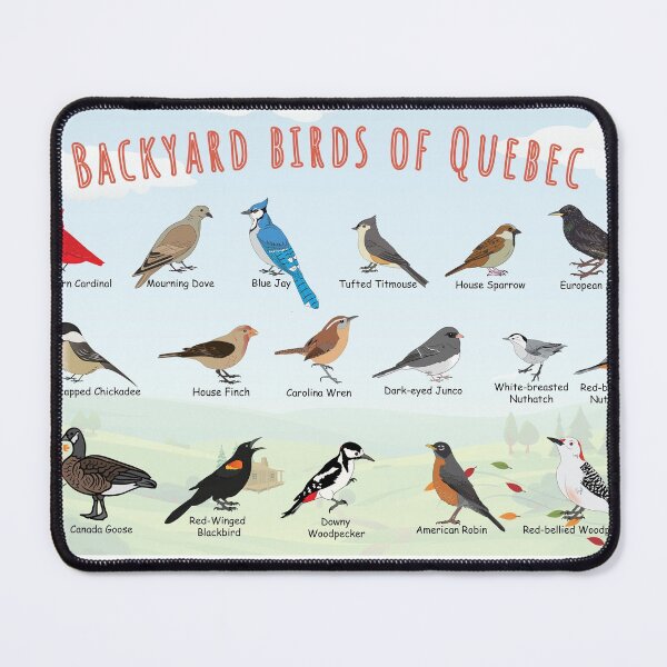 Item preview, Backyard birds of Quebec designed and sold by AndyMcBird.