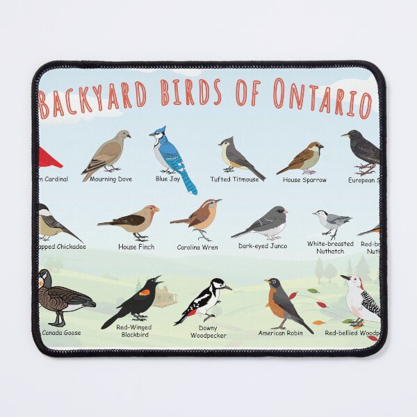 Item preview, Backyard birds of Ontario designed and sold by AndyMcBird.