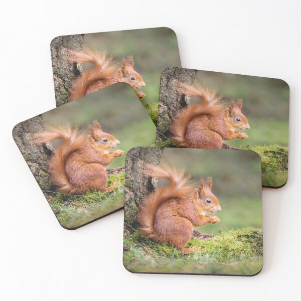 Item preview, Red Squirrel designed and sold by Alec Stewart.