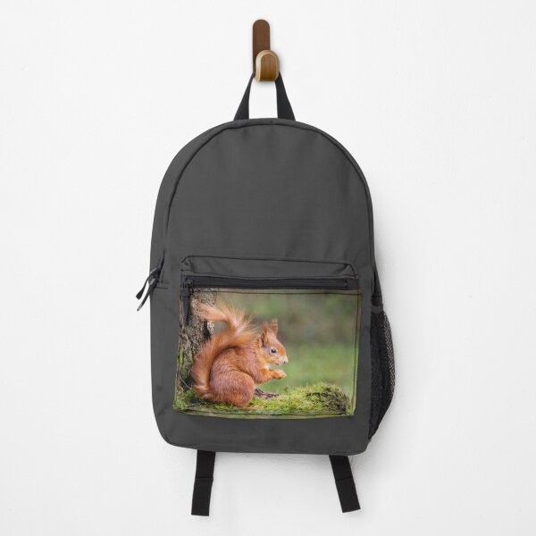 Item preview, Red Squirrel designed and sold by Alec Stewart.