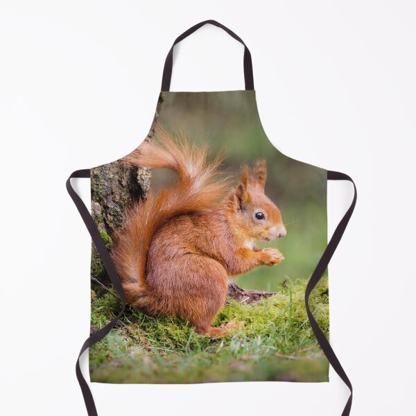 Item preview, Red Squirrel designed and sold by Alec Stewart.
