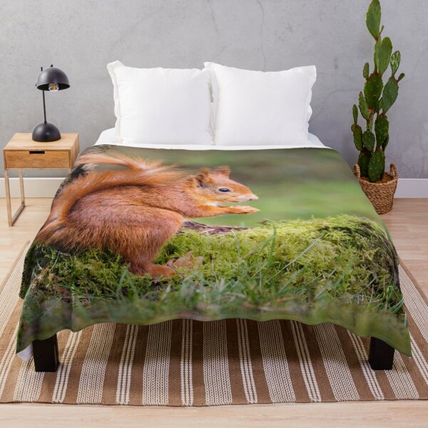 Item preview, Red Squirrel designed and sold by Alec Stewart.