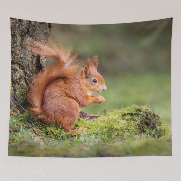 Item preview, Red Squirrel designed and sold by Alec Stewart.