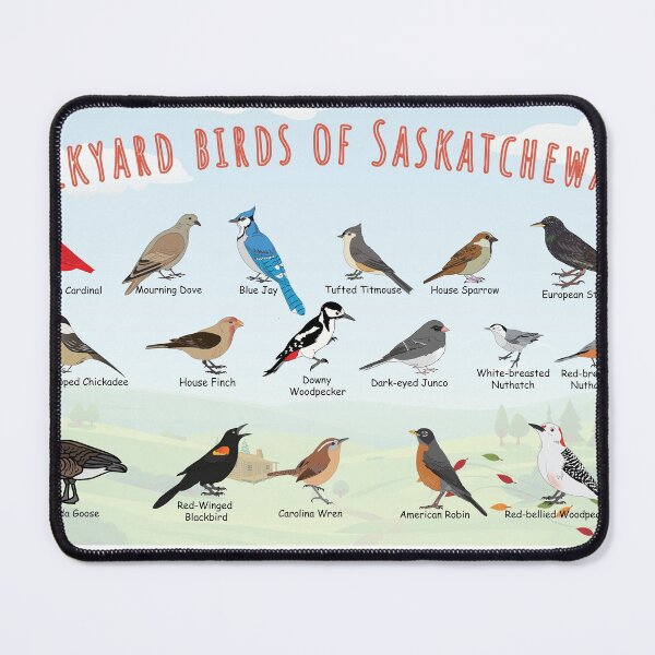 Item preview, Backyard birds of Saskatchewan.  designed and sold by AndyMcBird.