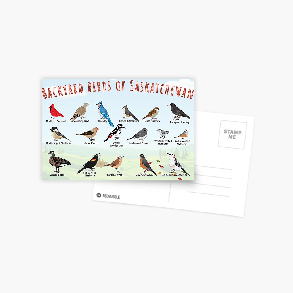 Item preview, Postcard designed and sold by AndyMcBird.