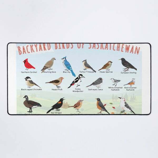 Artikelvorschau, Hinterhofvögel von Saskatchewan. entworfen und verkauft von AndyMcBird.