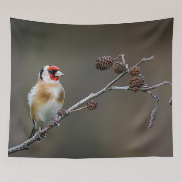 Item preview, Goldfinch designed and sold by Alec Stewart.