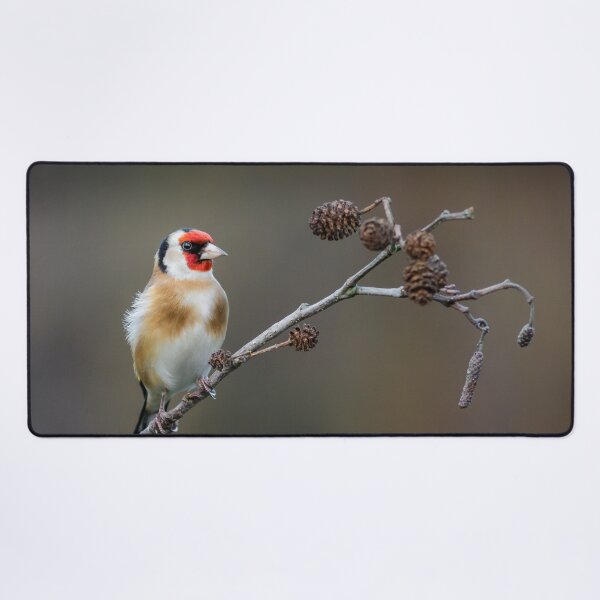 Item preview, Goldfinch designed and sold by Alec Stewart.