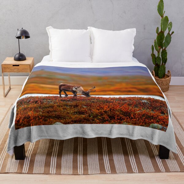 Item preview,  reindeer photo with high resolution quality designed and sold by Allyouneed-2.