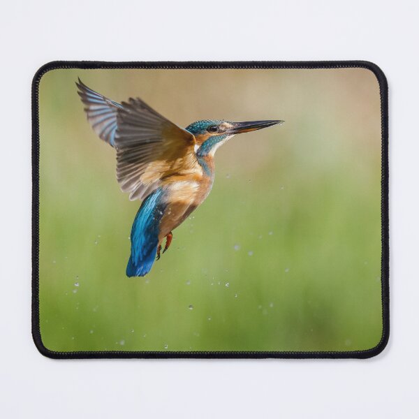 Item preview, Kingfisher designed and sold by Alec Stewart.