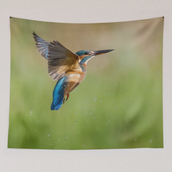 Item preview, Kingfisher designed and sold by Alec Stewart.
