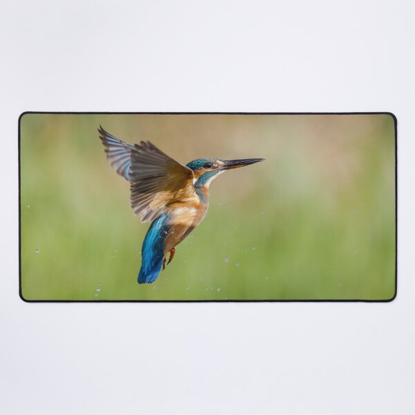 Item preview, Kingfisher designed and sold by Alec Stewart.