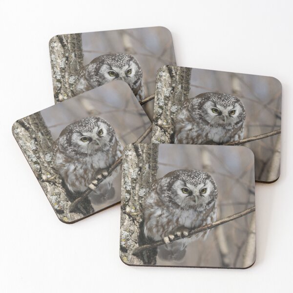 Item preview, Boreal owl on the hunt designed and sold by locustgirl.