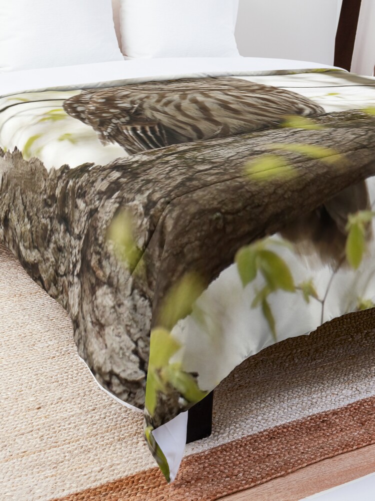 Alternate view of Beautiful barred owl Comforter