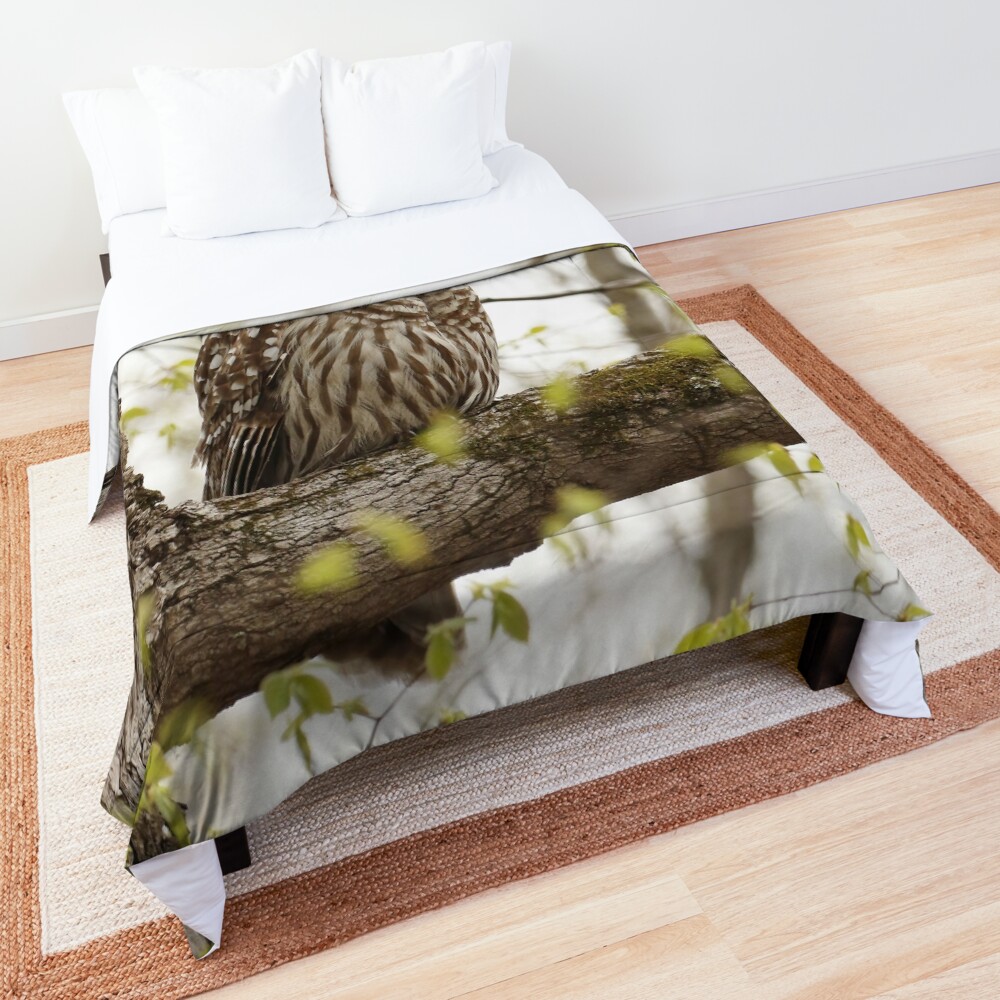 Beautiful barred owl Comforter