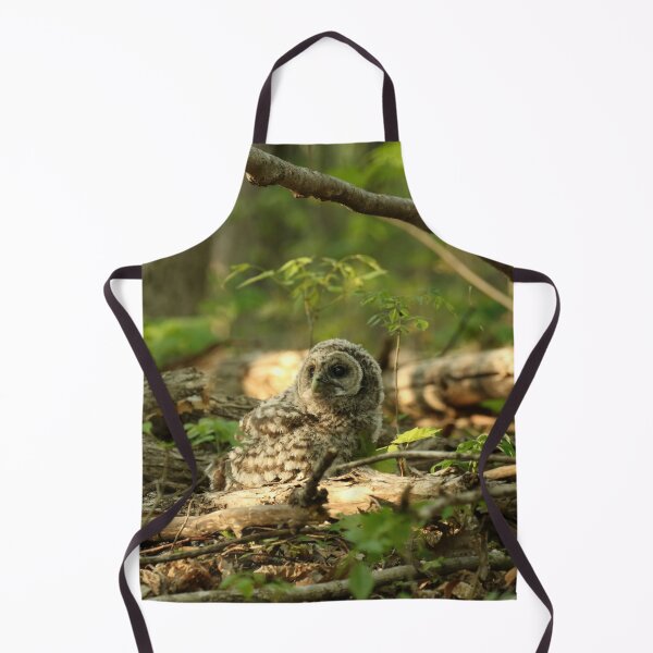 Item preview, Baby barred owlet on forest floor designed and sold by locustgirl.