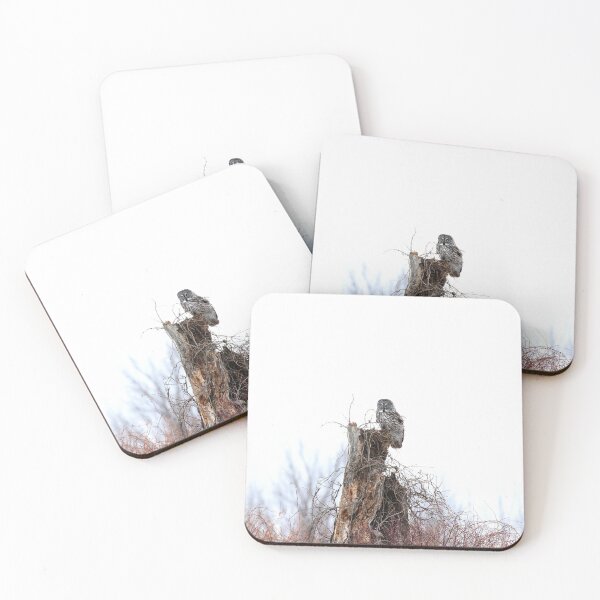 Item preview, The great grey owl  designed and sold by locustgirl.