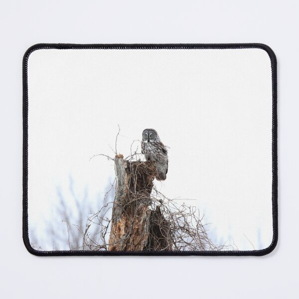 Item preview, The great grey owl designed and sold by locustgirl.
